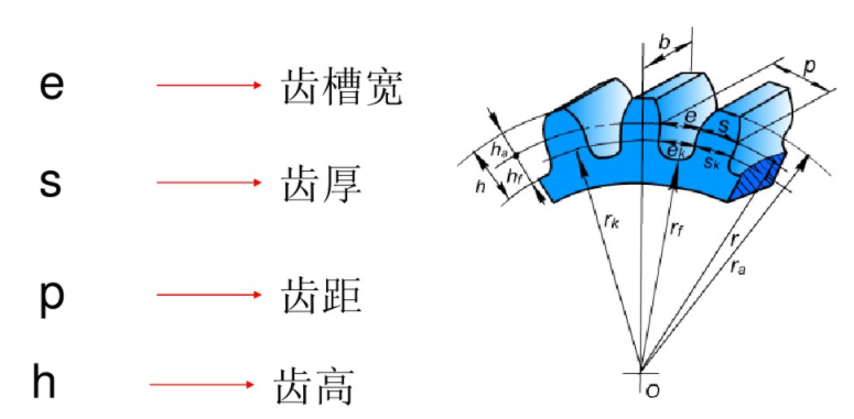齒輪齒槽寬等其它參數說明 齒輪齒槽寬等其它參數說明